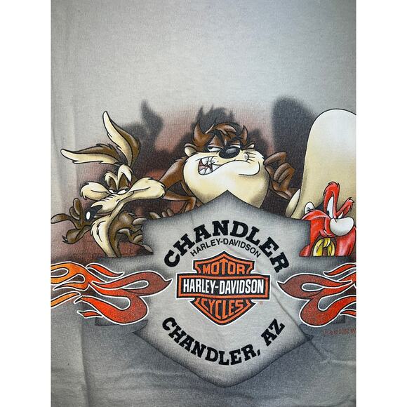 Vintage Harley Davidson Taz Looney Tunes Shirt Chandler Arizona Brown Tee Medium - Picture 10 of 12